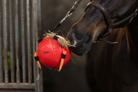 Excellent horse paarden speelbal rood