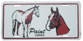 Licence plate met quarter, paint of appaloosa paard