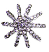 Concho Crystal zilver spur