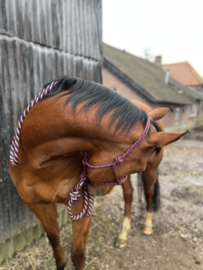 Professional's choice touwhalster met lead rope