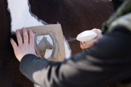 Excellent Horse Hi Gloss Glitter Sjablonen