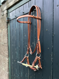 Sidepull rawhide single nose