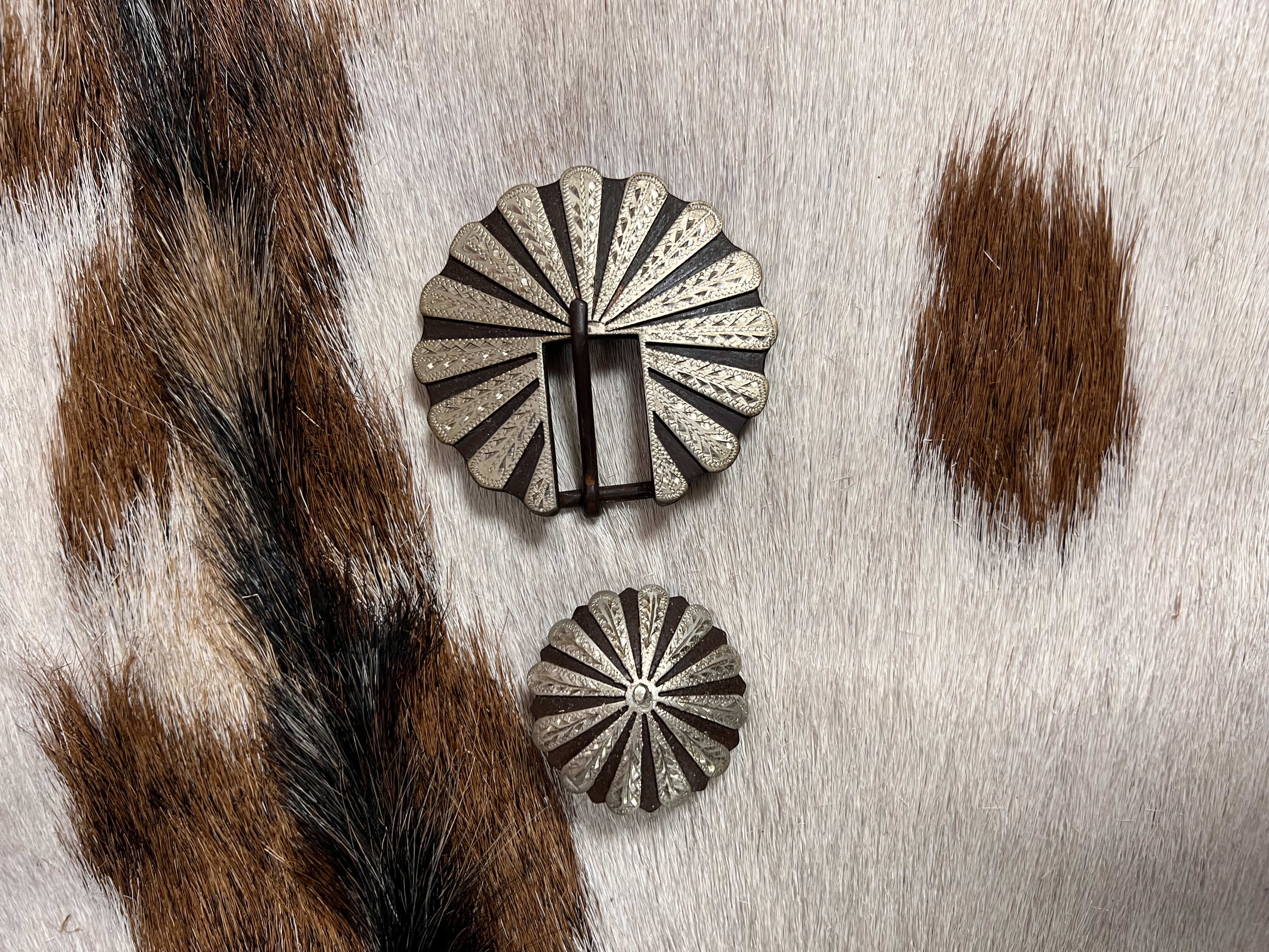 Buckle set Circus