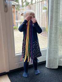 Regenboog
