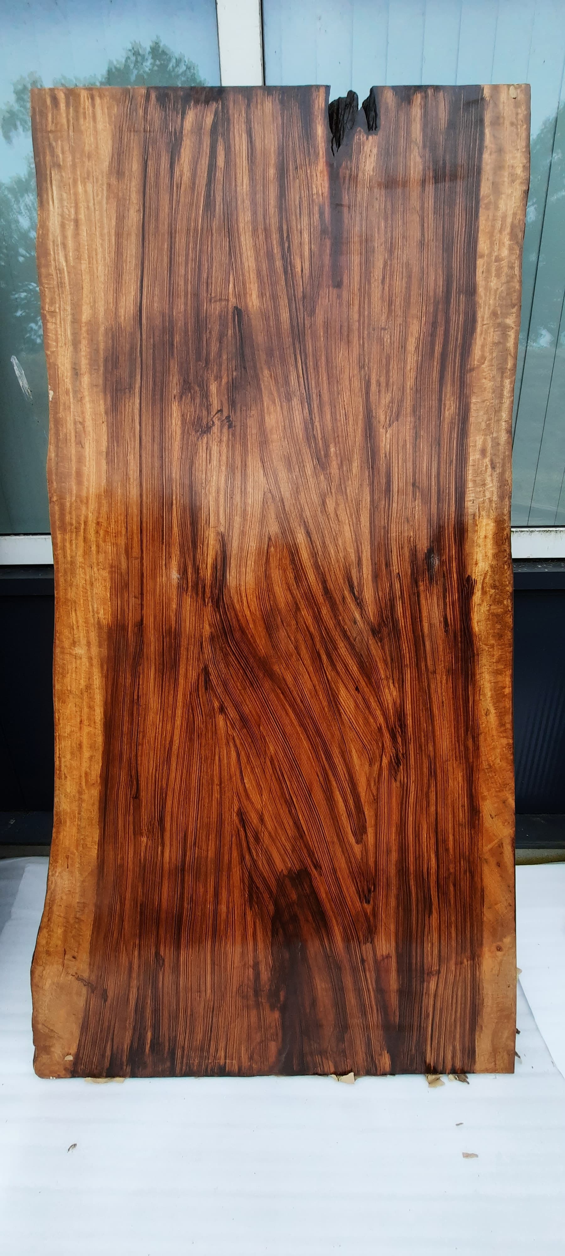 Boomstam tafel binnen/buiten