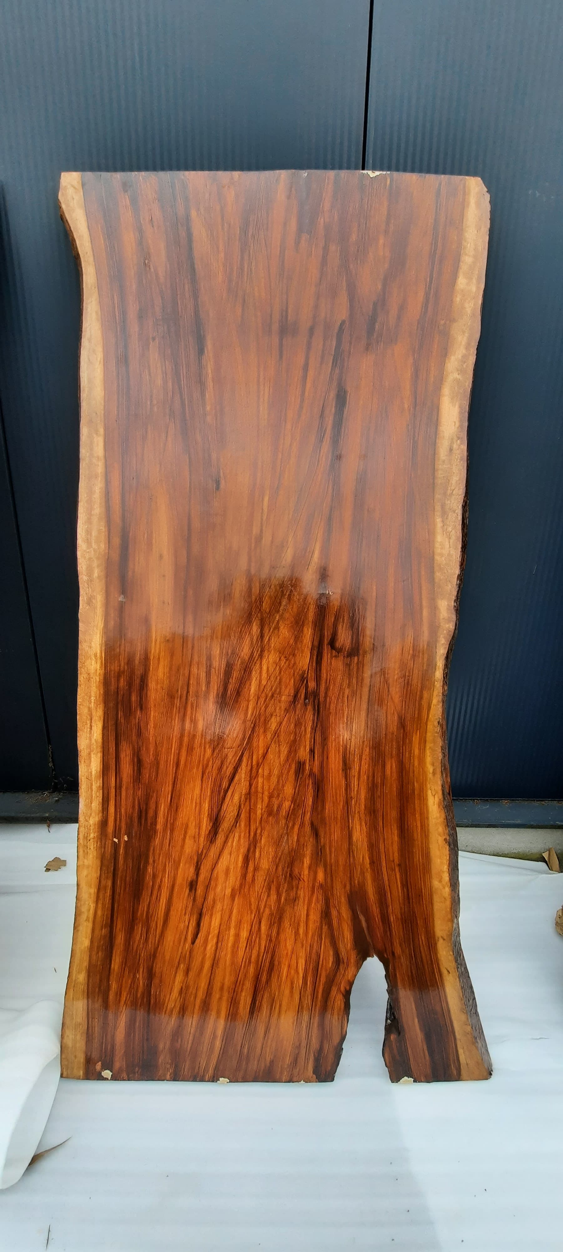 Boomstam tafel binnen/buiten