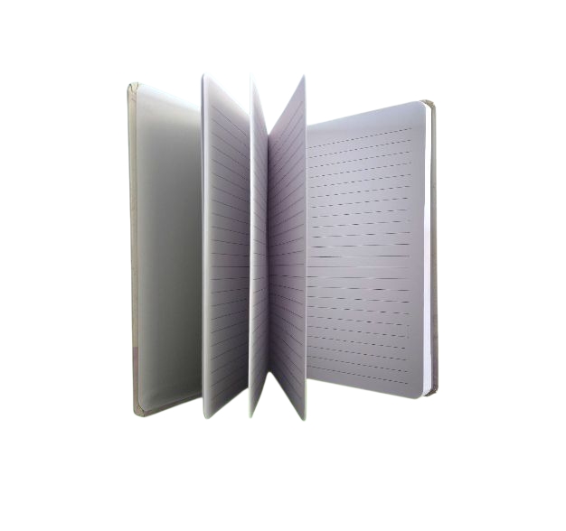 My Book of Magical Thinking