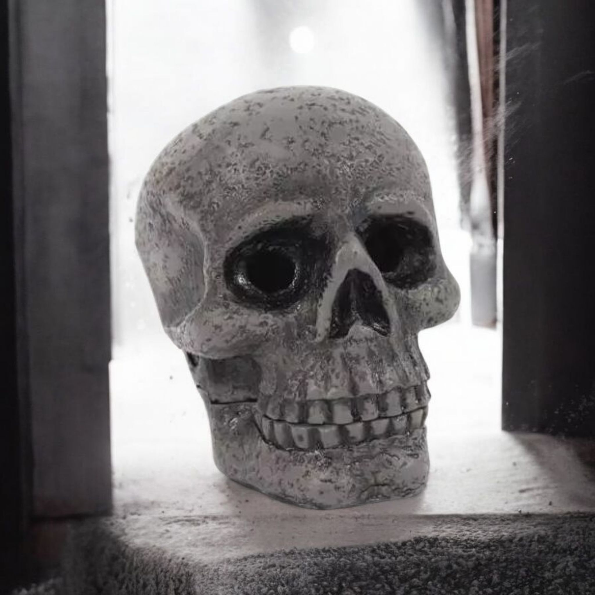 Skull Incense Burner Coins