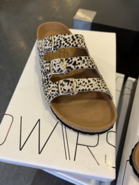 DWRS slipper komodo pony cheeta