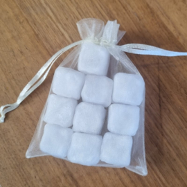zakje ijsblokjes 10 st