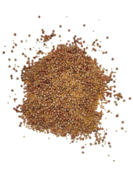 Mini speelparels GoldenSand