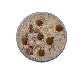 SensoryFizz Pepernoten