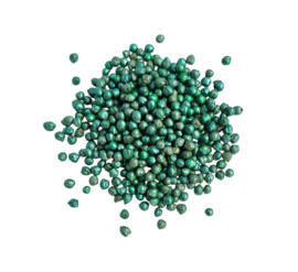 Kikkererwten groen