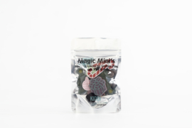 MagicMini´s kerst