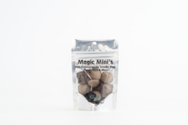 MagicMini´s sinterklaas