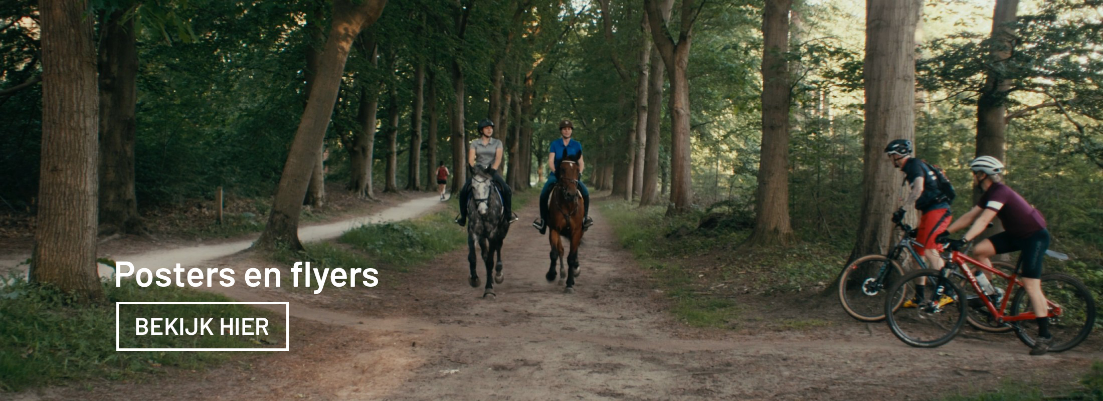 Posters en flyers