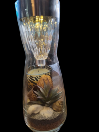 Karaf vetplant klein