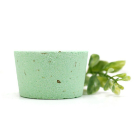 Eucalyptus douche steamers