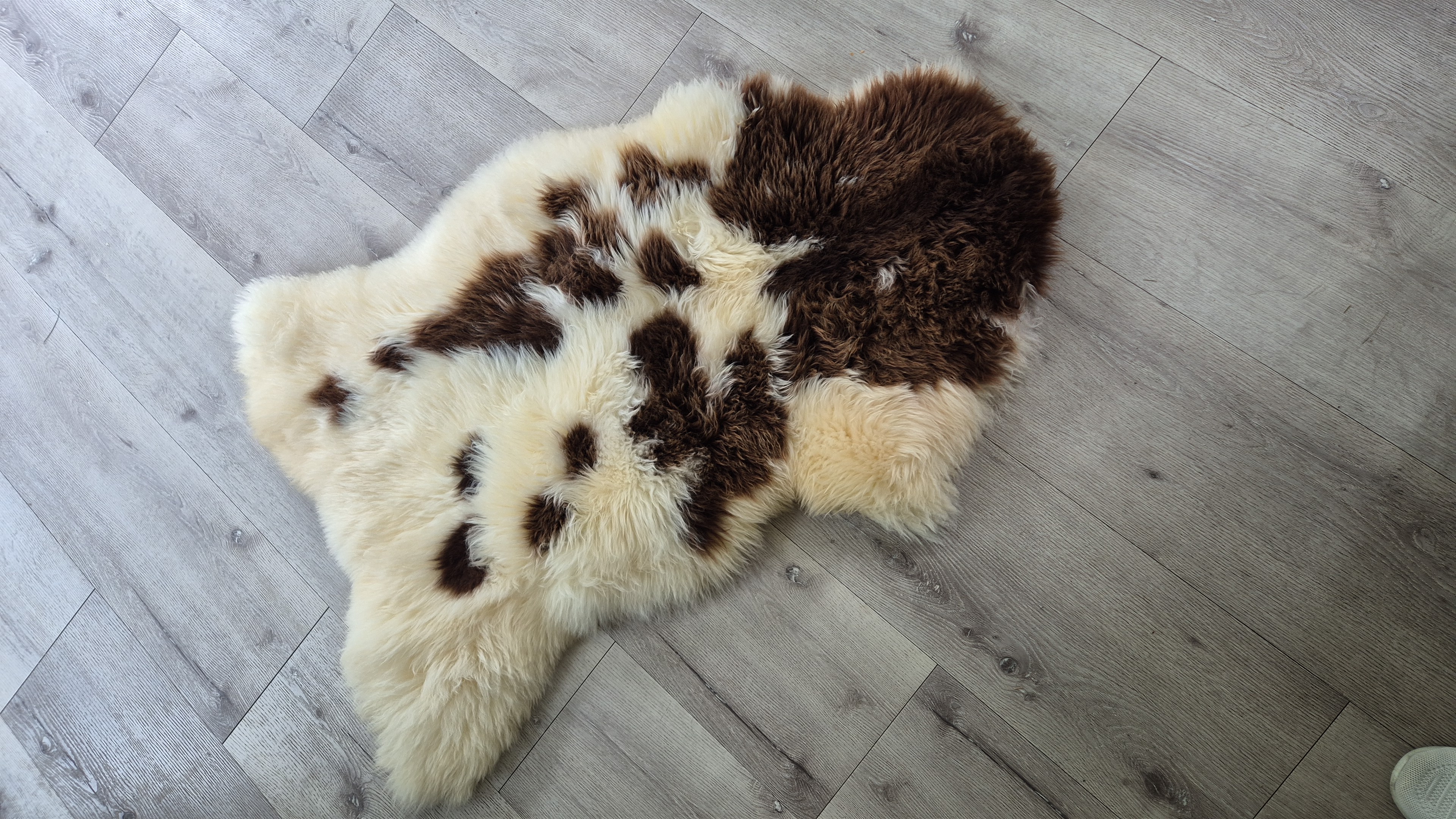Texels schapenvacht wit/bruin