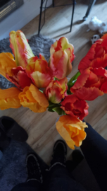 Zijde tulp rood