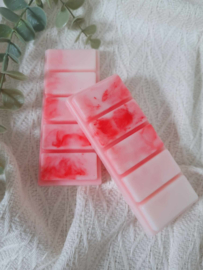 Waxmelt Watermeloen