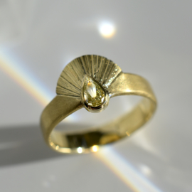 Sunrise ring