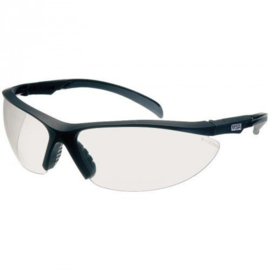 MSA Perspecta 1320 Veiligheidsbrillen