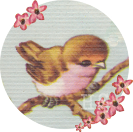 Strijkapplicatie birdy bloemen | full colour