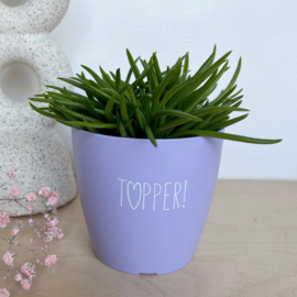 Bloempotje 'Topper' - lila