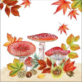 Fly agaric h.18