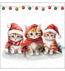 Funny cute kittens nr.98