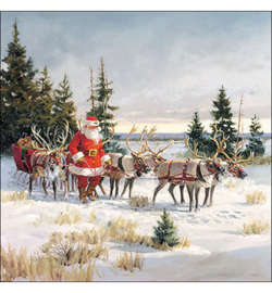 Santa with his reindeers nr.10