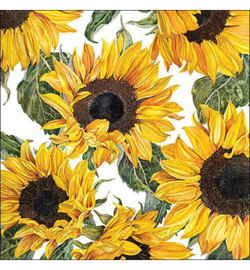 Sunflowers - Zonnebloemen nr24