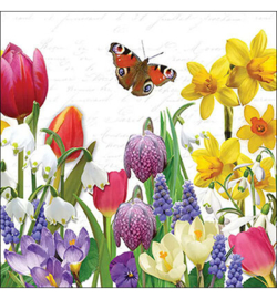 Spring feeling nr,132