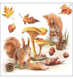 Squirrels go nuts h.10