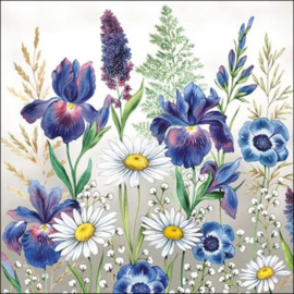 Mixed meadow flowers 1066