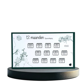 12 Maanden €100 Spaaruitdaging - A6