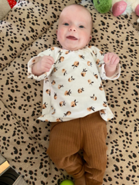 Meisjes shirtje