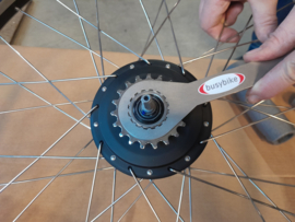 Busybike Enviolo Freewheel Screw Ring Tool in Stainless Steel