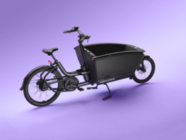 Urban Arrow FamilyNext Pro
