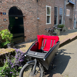 Studio Vollebak Seat Cushion Red Urban Arrow