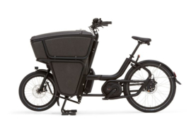 Urban Arrow Shorty