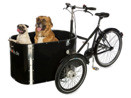 Dog bikes