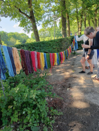 workshop plantaardig wol verfen