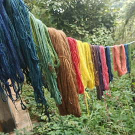 workshop plantaardig wol verfen