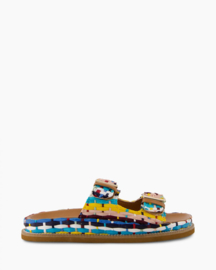 Toral - Tupai - Multi