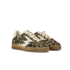 MoaConcept - CL071 - Sneaker Club - Sand / Leopard Print