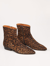 TORAL - BELINDA - LEOPARD