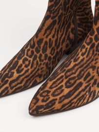 TORAL - BELINDA - LEOPARD