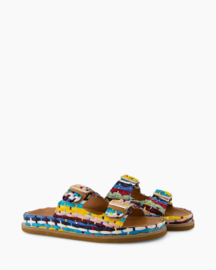Toral - Tupai - Multi